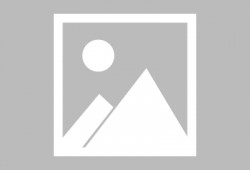 砀山最新事件爆料信息查询,揭秘突发事件背后的真相与影响